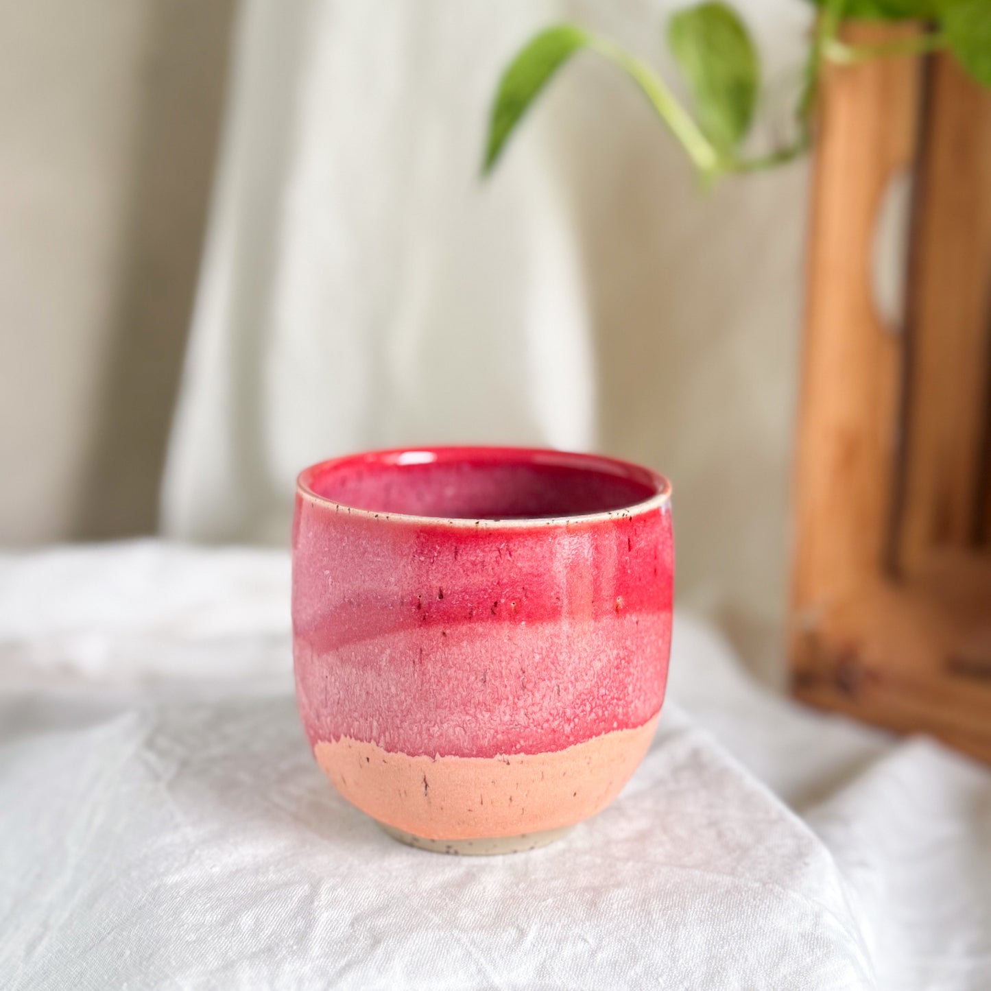Raspberry Sorbet Cup #3