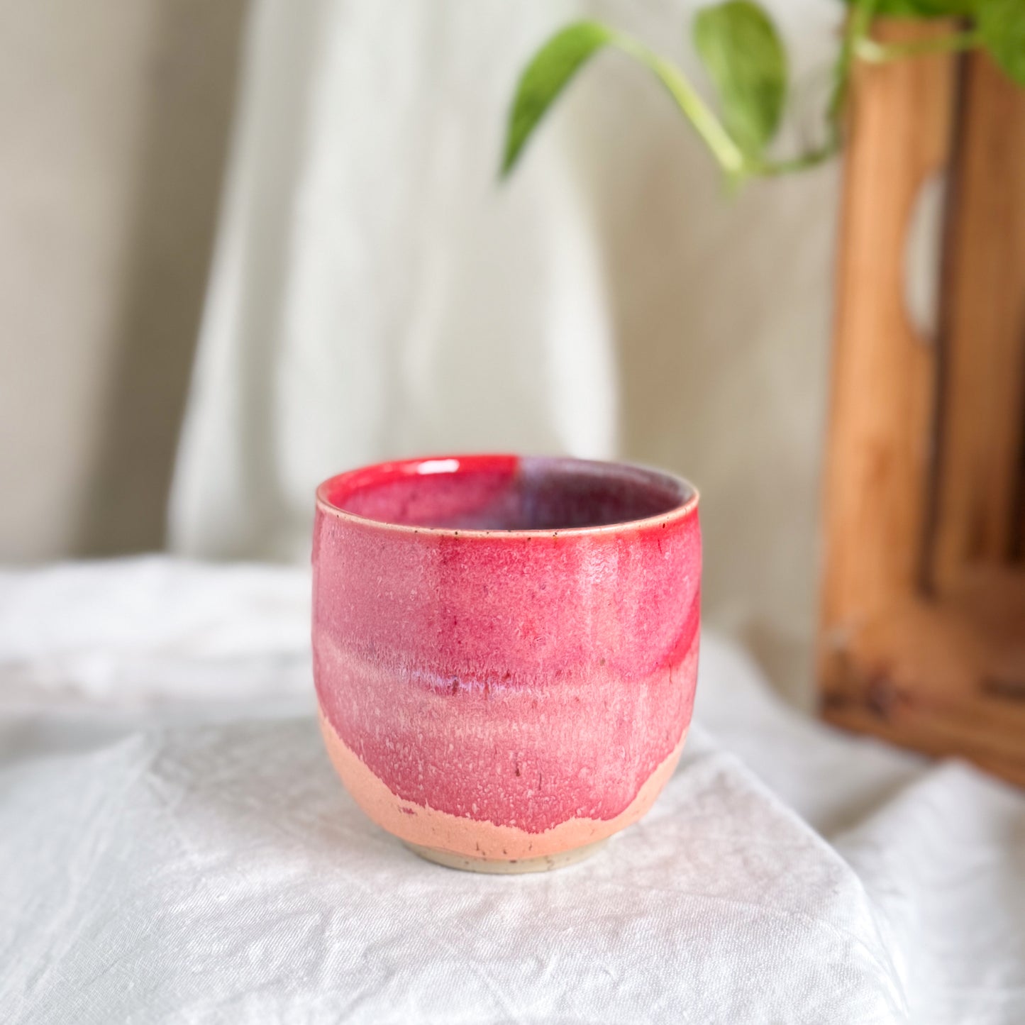 Raspberry Sorbet Cup #3