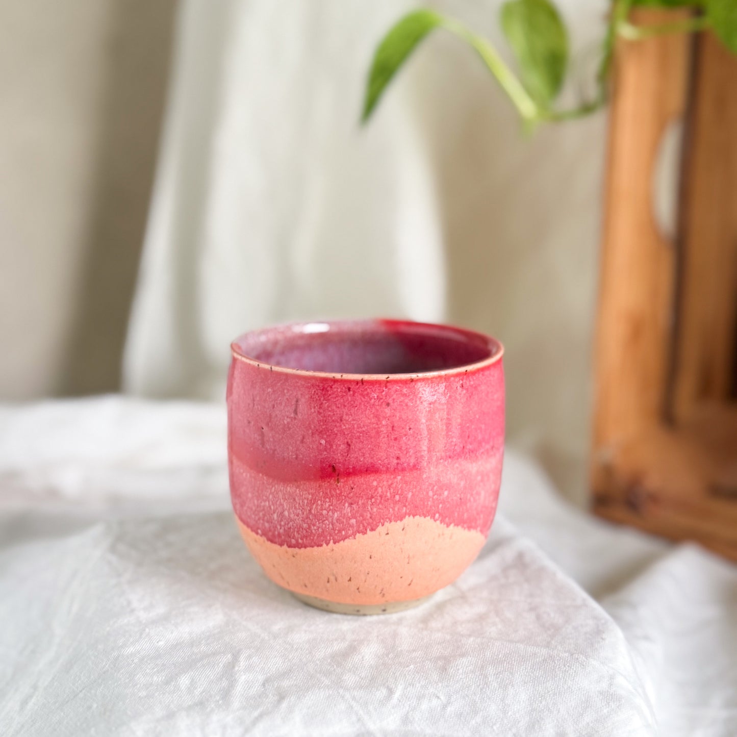 Raspberry Sorbet Cup #3