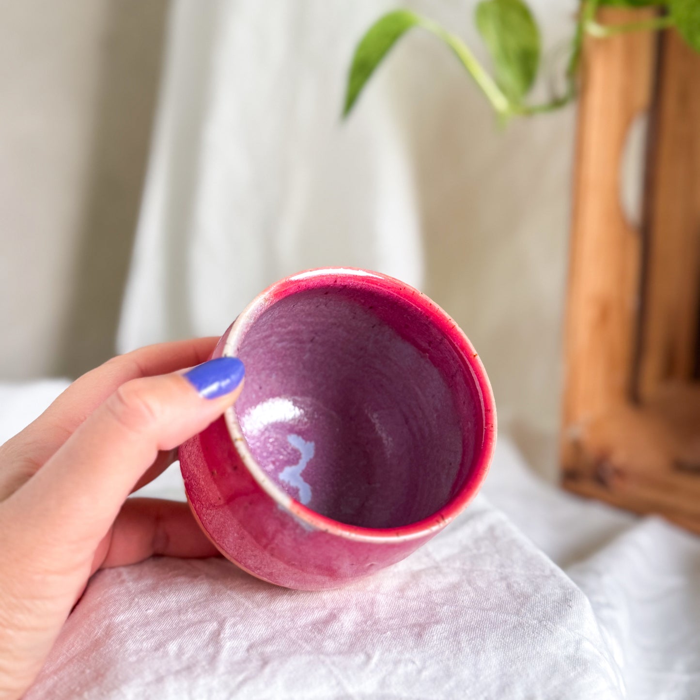 Raspberry Sorbet Cup #3