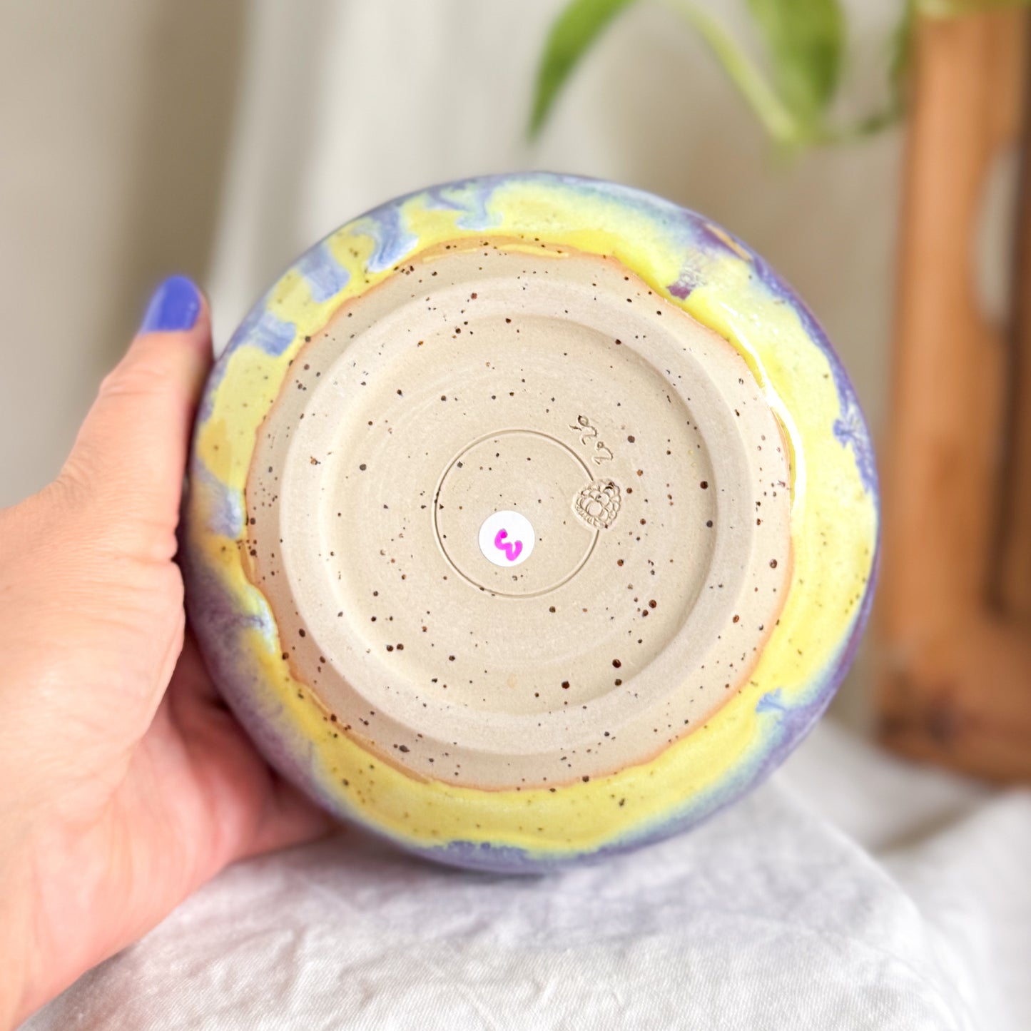 Blueberry Banana Split Breakfast Bowl #3