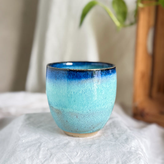 Summer Freeze Cup #3