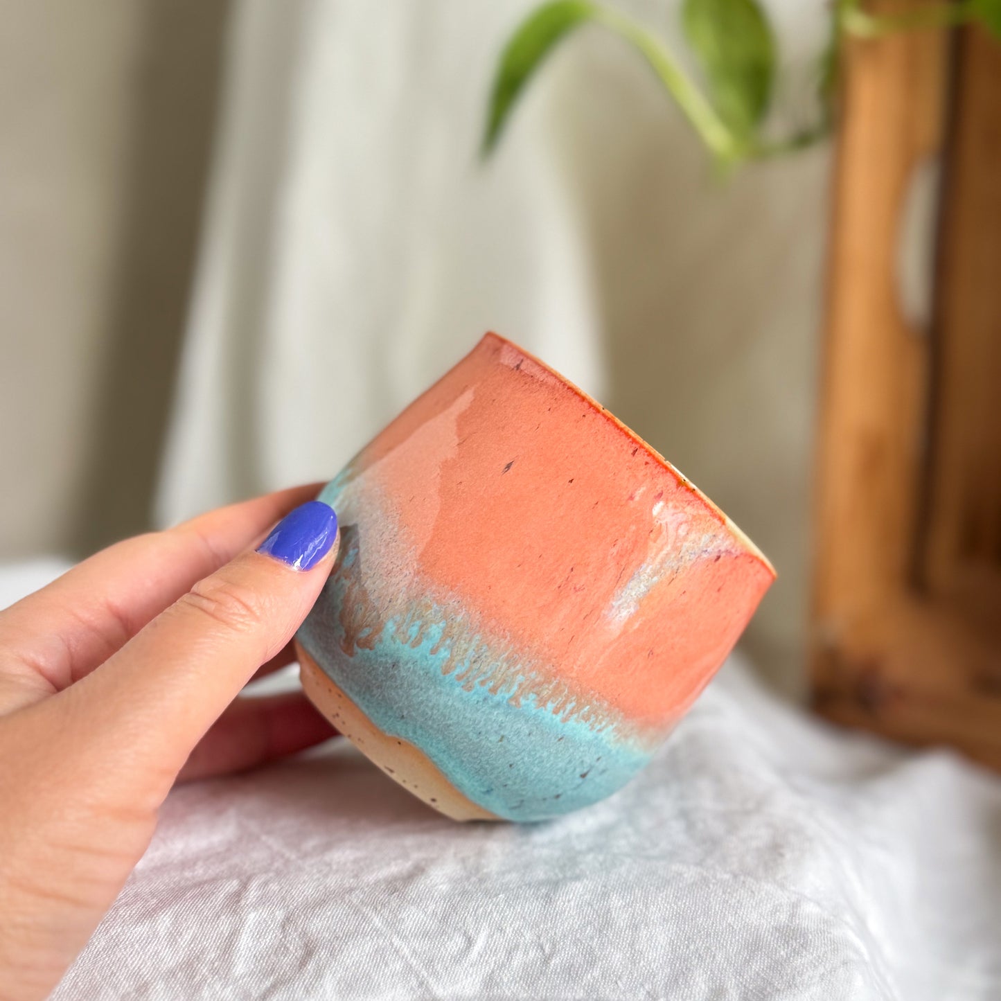 Flamingo Cup #3